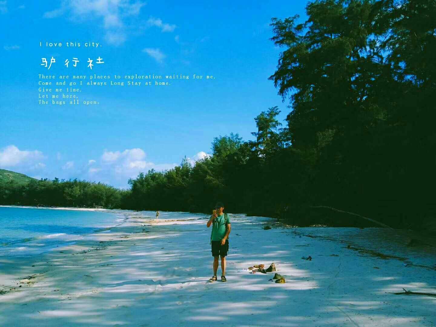 小猫钓鱼游戏龙王版有船